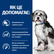 Hill's Prescription Diet ON-Care Сухой лечебный корм с курицей для собак, страдающих тяжелыми заболеваниями, период восстановления после операций и при онкологиях 1,5 кг - 2