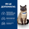 Hill's Prescription Diet z/d Food Sensitivities Сухий лікувальний корм для котів з чутливим травленням та при харчовій алергії 3 кг - 4