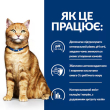 Hill's Prescription Diet C/D Multicare Urinary Care Сухой лечебный корм с курицей для кошек при мочекаменной болезни 3 кг - 4
