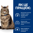 Hill's Prescription Diet Gastrointestinal Biome Сухий лікувальний корм з куркою для котів при розладах травлення та діареї  1,5 кг - 2