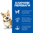 Hill’s Science Plan Adult Small&amp;Mini Сухий корм для дорослих собак малих і мініатюрних порід з куркою 1,5 кг - 1