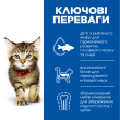 Hill's Science Plan Kitten Сухой корм для котят и кошек в период беременности и лактации с курицей 300 г - 1