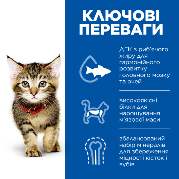 Hill's Science Plan Kitten Сухой корм для котят и кошек в период беременности и лактации с курицей 300 г - 1