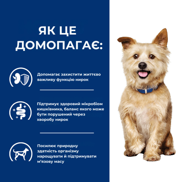 Hill's Prescription Diet ActivBiome+ Kidney Care Вологий лікувальний корм для собак при захворюванні нирок та ниркової недостатності з куркою, 350 г - 3