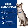 Hill's Prescription Diet k/d Kidney Care Chicken Сухий лікувальний корм з куркою для котів із захворюваннями нирок 8 кг - 2