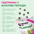 LK Baits Pet Nutrigo Plantago Mini Функціональні ласощі для собак дрібних порід з сиропом подорожника (Ø 15 мм), 75 г - 3