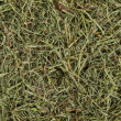 Kaytee Orchard Grass корм для кроликів і гризунів після 1 року, сіно садове, 680 г - 3