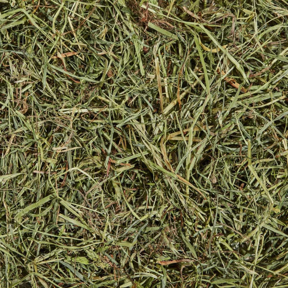 Kaytee Orchard Grass корм для кроликів і гризунів після 1 року, сіно садове, 680 г - 3