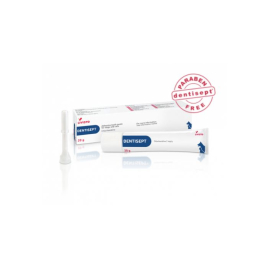Dentisept (Дентисепт) Адгезивная зубная паста, 20 г