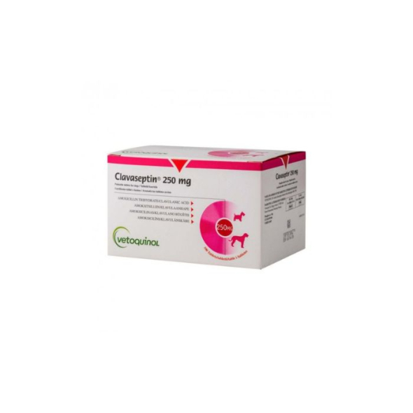 Клавасептін (Clavaseptin) Антибіотик 250 мг, 100 таблеток (УПАКОВКА)