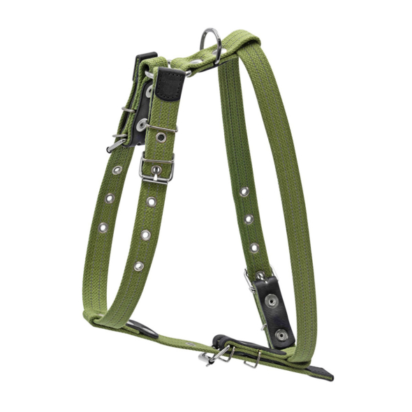 Collar Шлея для собак бавовняна тасьма брезент, S, зелена - 1