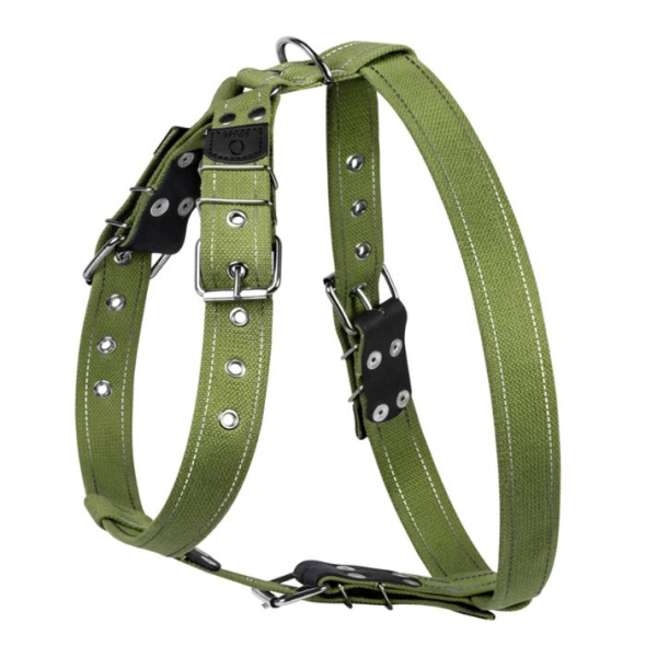 Collar Шлея для собак хлопчатобумажная тесьма брезент, L, зеленая