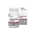 Vet Expert Hepatiale Forte Large Breed (Гепатиале форте) Нутрицевтическая добавка для поддержки и защиты функций печени у собак больших пород, 40 таблеток