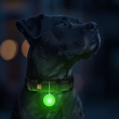 WAUDOG Ліхтарик-брелок для собак і котів з LED-підсвічуванням, Type-C, Ø 37 мм - 2
