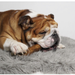 DogsRogs Оленьи рога М+ для собак средних и крупных пород, толстые, 20 см - 3
