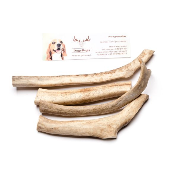 DogsRogs Оленьи рога L для собак средних пород, мягкие, 30 см - 4