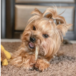 DogsRogs Сплит из рогов оленя S для собак миниатюрных пород, средней жесткости, 10 см - 1