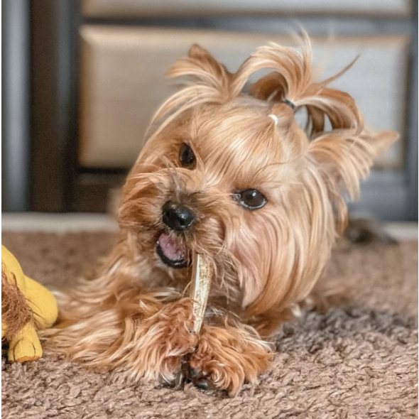 DogsRogs Сплит из рогов оленя S для собак миниатюрных пород, средней жесткости, 10 см - 1
