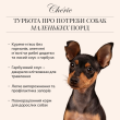 Cherie Small Breed Chicken&amp;Duck in Pumpkin Gravy Вологий корм для собак курка з качкою в гарбузовому соусі, 80 г - 2