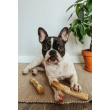 HealthyDoggo Coffee Stick Палка из кофейного дерева для собак, L, 19х4 см - 4