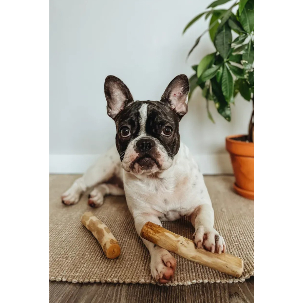 HealthyDoggo Coffee Stick Палка из кофейного дерева для собак, L, 19х4 см - 4