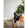 HealthyDoggo Coffee Stick Палка из кофейного дерева для собак, S, 15х3 см - 5