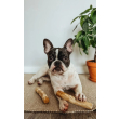 HealthyDoggo Coffee Stick Палка из кофейного дерева для собак, XS, 13х2 см - 3