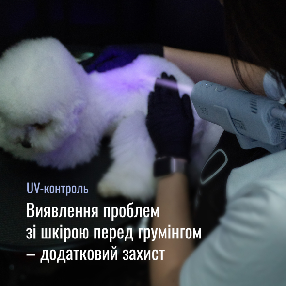 Tauro Pro Line Універсальний фен для тварин із гнучкою системою кріплення на шиї, з вилкою ЄС, зелений - 5