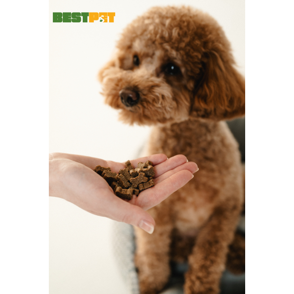Nature's Protection Superior Care Red Coat Hypoallergenic &amp; Intestinal Care Беззерновые лакомства для взрослых собак с рыжим окрасом с лососем, 150 г - 1