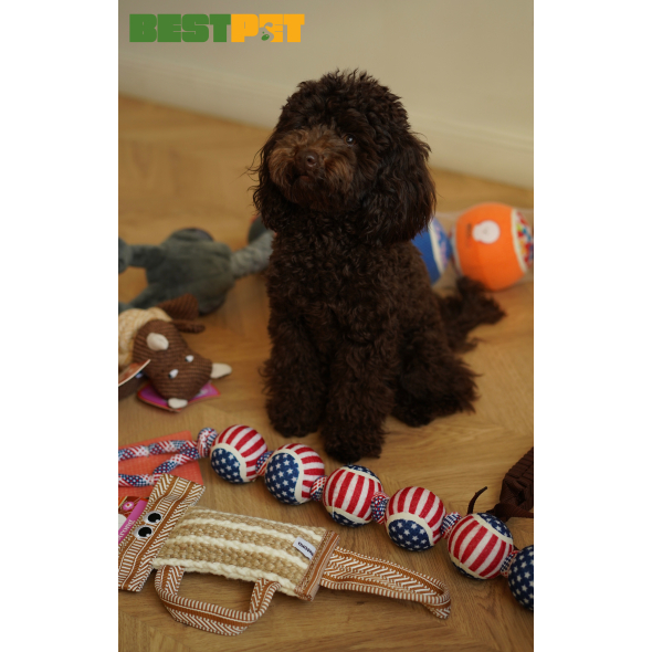 MISOKO Игрушка для собак теннисные мячи сине-красные 10 см, 3 шт - 1