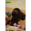 MISOKO Игрушка для собак теннисные мячи сине-красные 10 см, 3 шт - 3