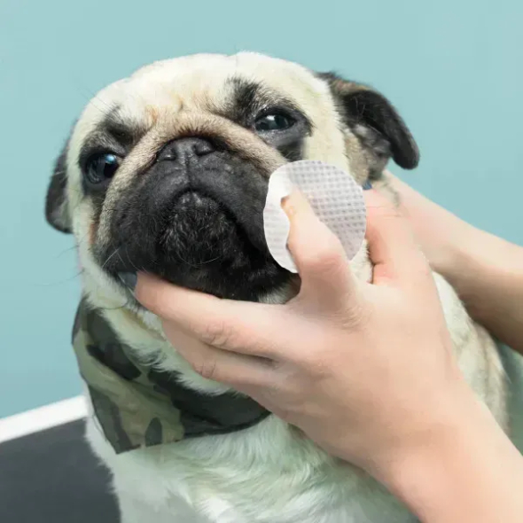 Eye Envy Buldog Wipes Салфетки для гигиены кожных складочек бульдогов, 60 шт - 5
