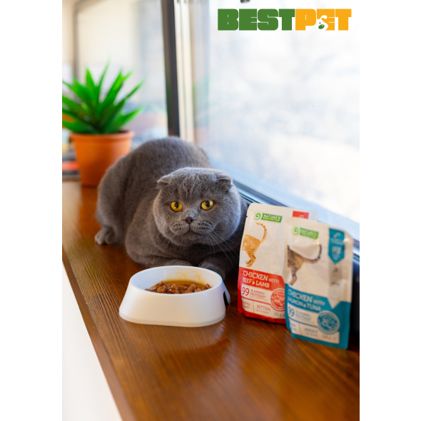 Nature’s Protection Adult cats Weight Control Chicken with Salmon &amp; Tuna Вологий корм для котів для контролю ваги з куркою, лососем і тунцем, 100 г - 2