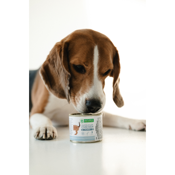 Nature's Protection Puppy Starter Mousse Chicken Мусс-стартер для щенков из курицы, 200 г - 2