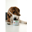 Nature's Protection Puppy Starter Mousse Chicken Мусс-стартер для щенков из курицы, 200 г - 1