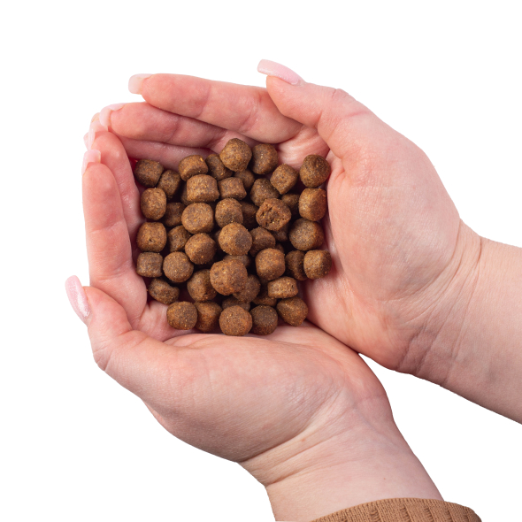 Nature's Protection Superior Care Veterinary Diet Dermatosis Salmon Adult All Breeds Сухой беззерновой корм для здоровья кожи, шерсти собак с лососем, 1,5 кг - 3