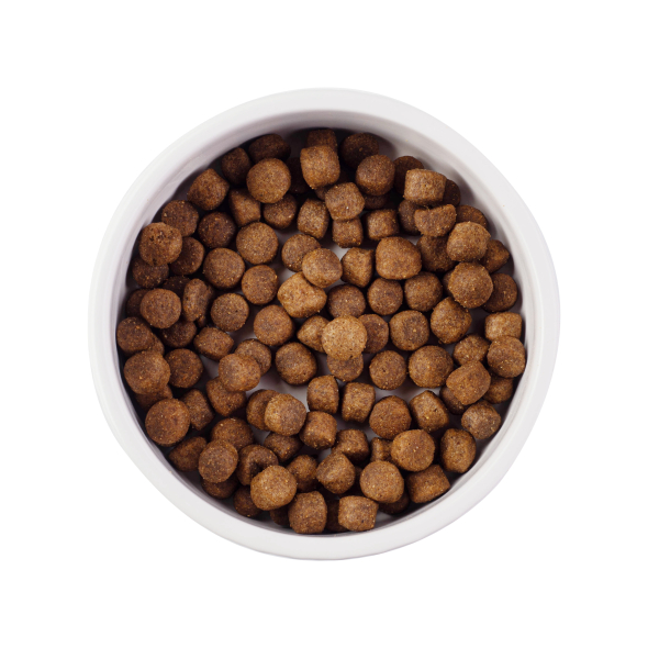 Nature's Protection Superior Care Veterinary Diet Dermatosis Salmon Adult All Breeds Сухой беззерновой корм для здоровья кожи, шерсти собак с лососем, 1,5 кг - 2