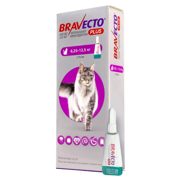 Bravecto Plus (Бравекто Плюс) Краплі від бліх, кліщів і глистів для котів вагою від 6,25 кг до 12,5 кг