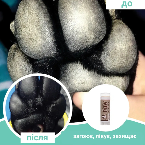 Natural Dog Company Paw Tection Бальзам для лап собак и кошек, стик, 4,25 мл - 1