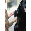 Natural Dog Company Paw Wipes Салфетки для очищения лап собак, 50 шт - 2