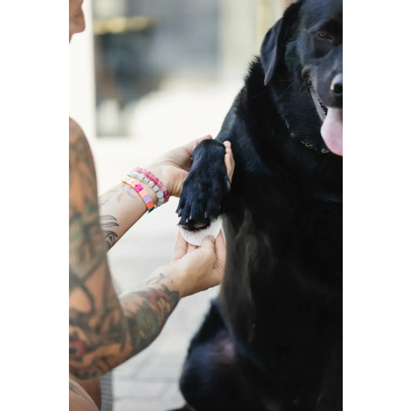 Natural Dog Company Paw Wipes Салфетки для очищения лап собак, 50 шт - 2