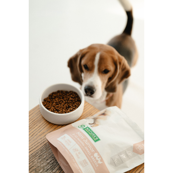 Nature's Protection Mini Junior Small Breeds Сухий корм для цуценят малих порід з м'ясом птиці, 500 г - 2