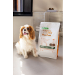 Nature's Protection Superior Care Red Coat Grain Free Lamb Adult All Breeds Сухой беззерновой корм для взрослых собак всех пород с рыжим окрасом с ягненком, 4 кг - 2