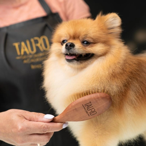 Tauro Pro Line Щітка, груша, зубці 27 мм з нержавіючої сталі, коричнева, овальна форма, велика, 23 x 6,3 см - 2