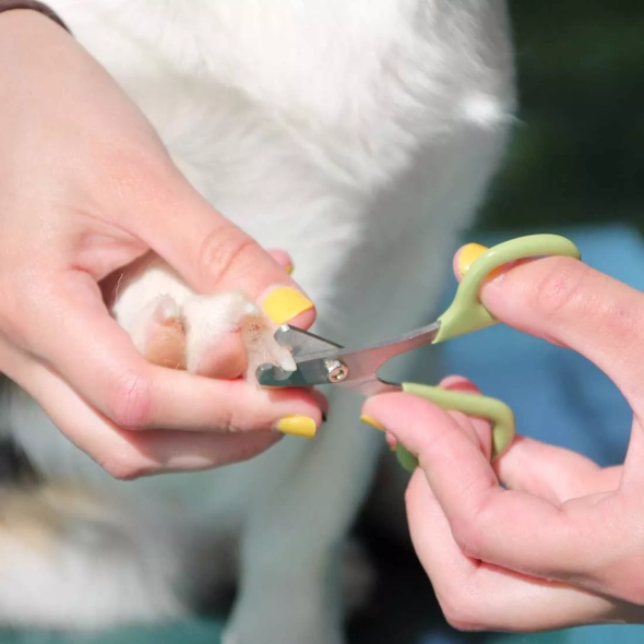Safari Dog Nail Trimmer Кігтеріз для собак малих порід, котів і дрібних тварин, 5,2х8,3 см - 4
