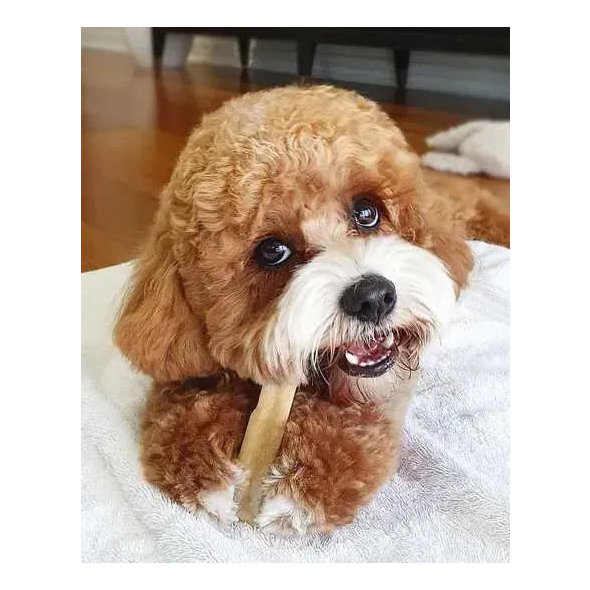 HealthyDoggo Chew Himalayan Cheese Гімалайський сир чхурпі для собак, розмір S, 40 г - 5